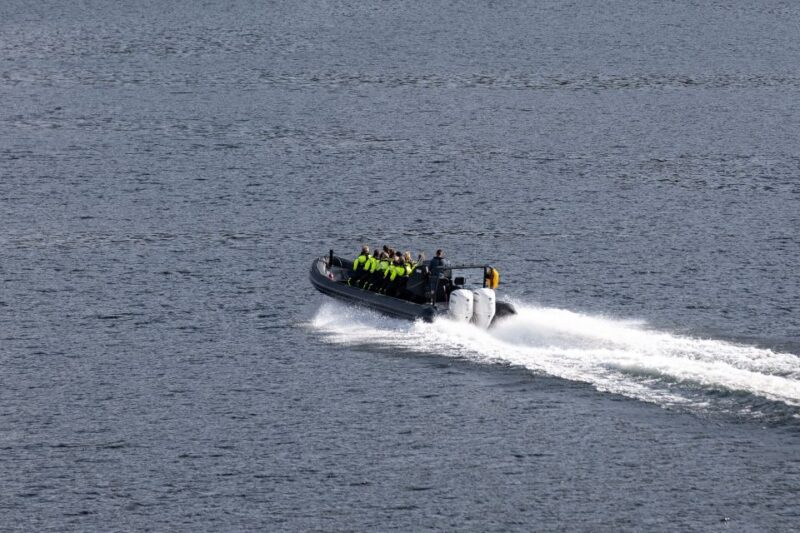 Ulvik Fjord Cruise: Scenic RIB Adventure to Osafjord - Activity Restrictions