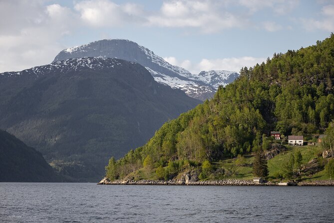 Ulvik Scenic RIB Adventure Tour to Osafjord - Scenic Fjord Exploration