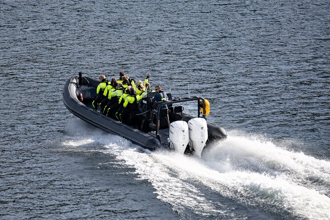 Ulvik Scenic RIB Adventure Tour to Osafjord - Guest Feedback and Testimonials