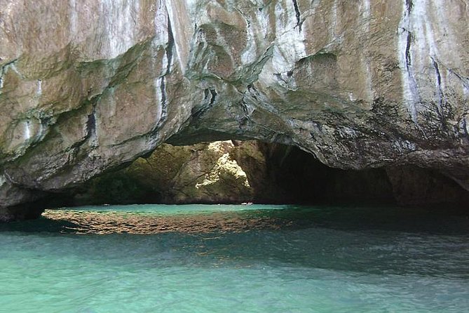 Ulysses Coast Boat Tours - Additional Information