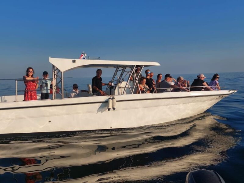 Umag: Dolphinwatching & Sunset Panorama Tour - Good To Know
