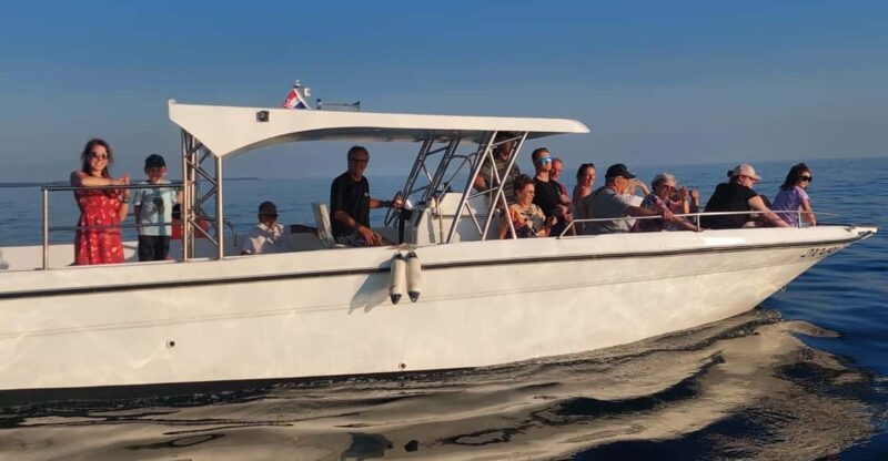 Umag: Dolphinwatching & Sunset Panorama Tour - Tour Highlights