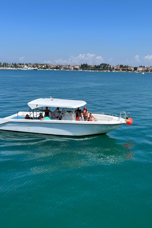 Umag: Dolphinwatching & Sunset Panorama Tour - Important Information