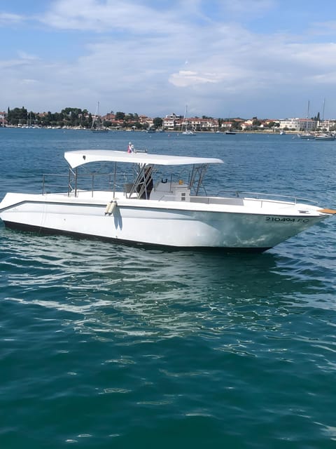Umag: Dolphinwatching & Sunset Panorama Tour - Customer Reviews