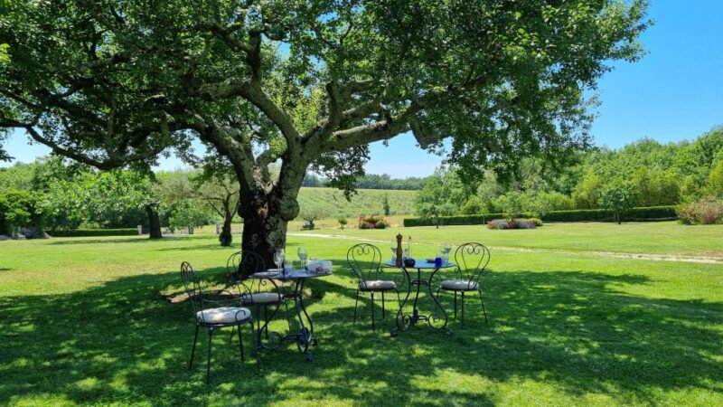 Umag: Olive Oil, Wine, and Local Food at a Family Farm - Homemade Ricotta and Fresh Produce