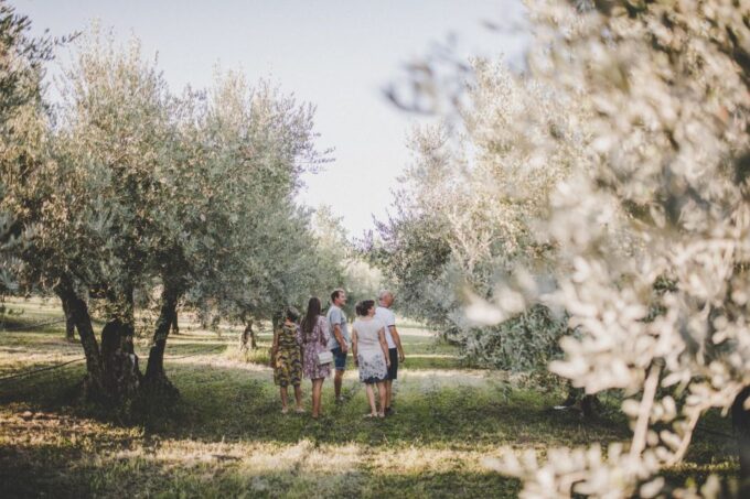 Umag: Olive Oil, Wine, and Local Food at a Family Farm - Olive Harvesting and Oil Extraction