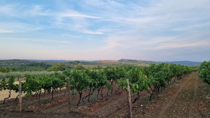 Umag: Olive Oil, Wine, and Local Food at a Family Farm - Frequently Asked Questions