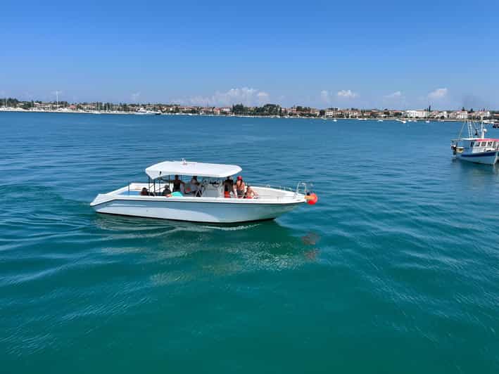 Umag: Snorkeling & Dolphinwatching Morning Boat Tour - Highlights and Features