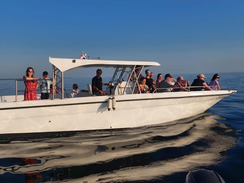 Umag: Snorkeling & Dolphinwatching Morning Boat Tour - Meeting Point and Logistics