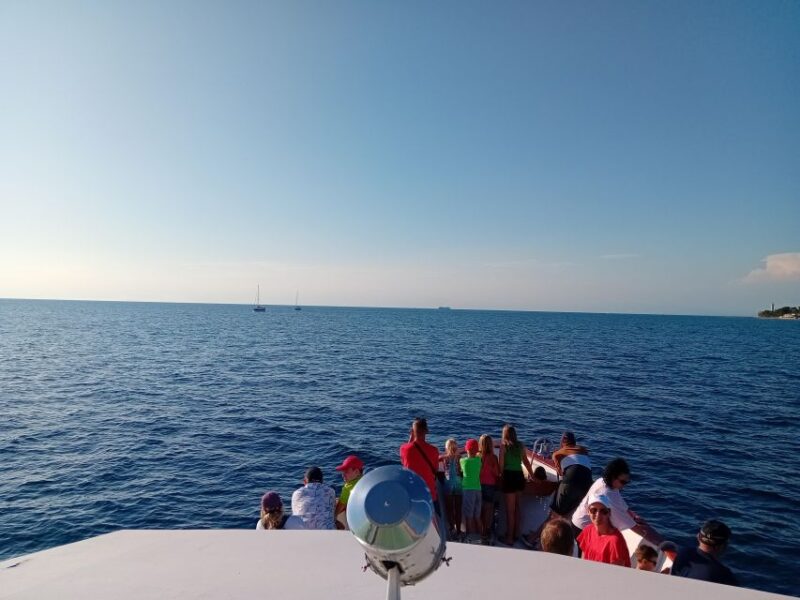 Umag: Sunset Cruise With Dolphin Spotting - Good To Know