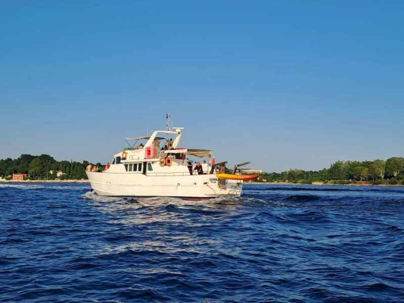 Umag: Sunset Cruise With Dolphin Spotting - Experience Highlights