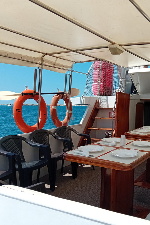 Umag: Swimming&Panorama / Welcome Drink and Dolphin Spotting - Activity Highlights