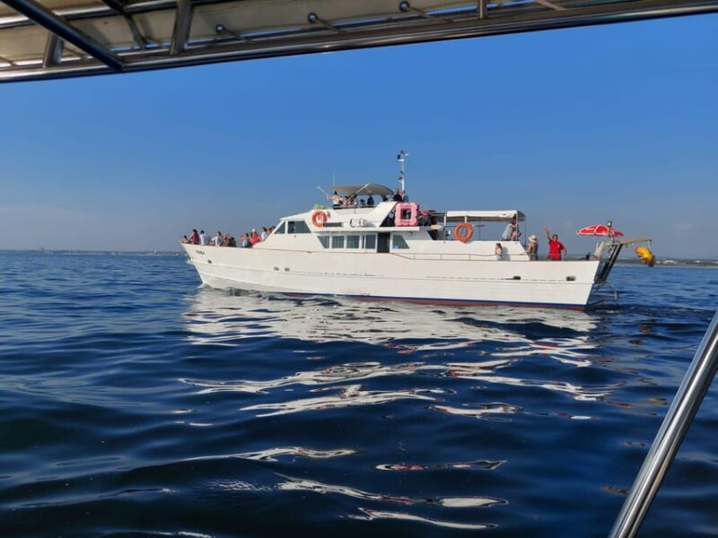Umag: Swimming&Panorama / Welcome Drink and Dolphin Spotting - Booking Information