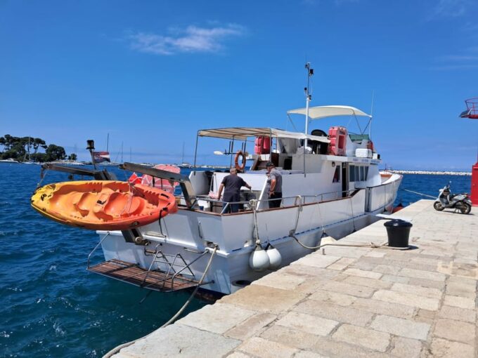 Umag: Swimming&Panorama / Welcome Drink and Dolphin Spotting - Welcome Drink Included