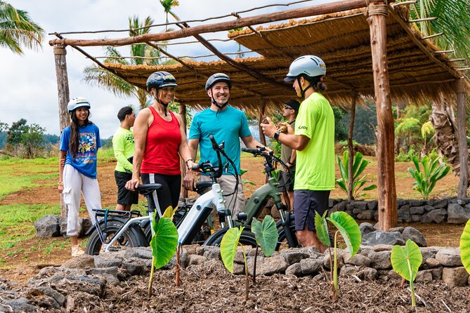 Umauma Falls Ebike Tour in Hakalau - Whats Included in the Tour
