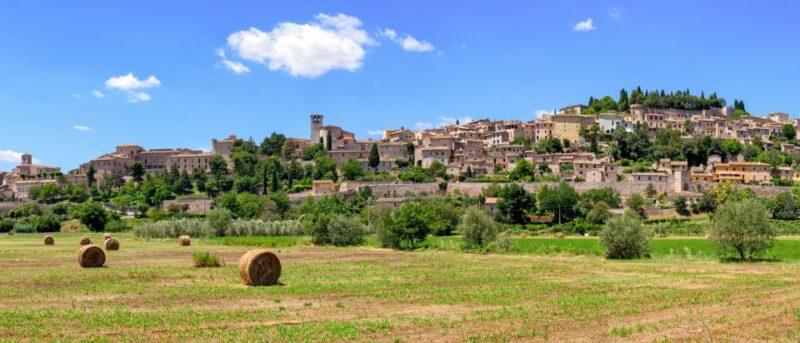 Umbria: Spello to Assisi Trekking on Mount Subasio + Lunch - Experience Highlights