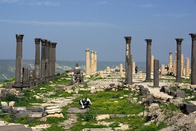 Umm Qais, Ajloun and Jerash Full-Day Tour From Amman - Tour Highlights and Inclusions