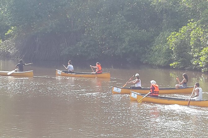 Unawatuna Lagoon Canoeing Excursion - Participant Information