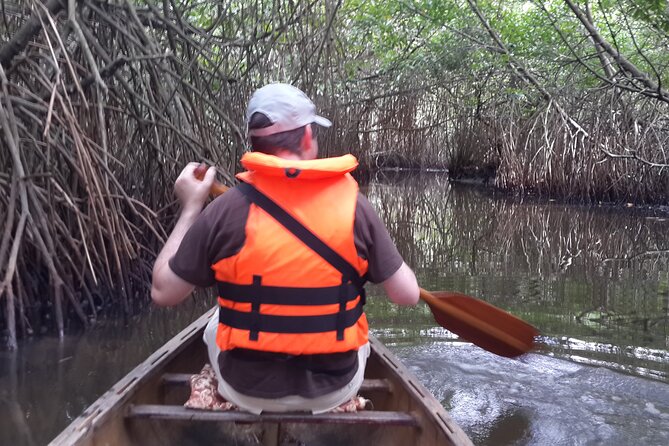 Unawatuna Lagoon Canoeing Excursion - Highlights of the Excursion