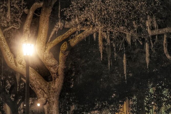 Uncensored Zombie Night-Time Walking Ghost Tour of Savannah (Ages 18+) - Age Requirement