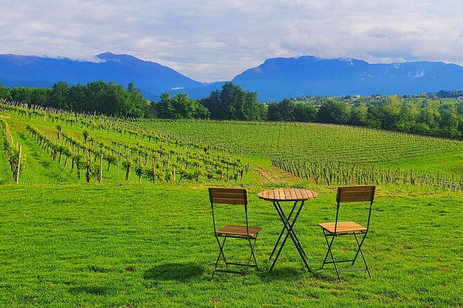 Unconventional Prosecco Tasting With Stunning View on Vineyards - Discovering the Unique Tasting Offerings