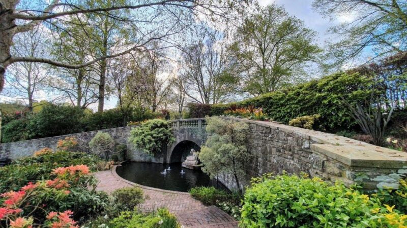 Uncover Evolution's Path: In-App Audio Tour of Shrewsbury - Key Points