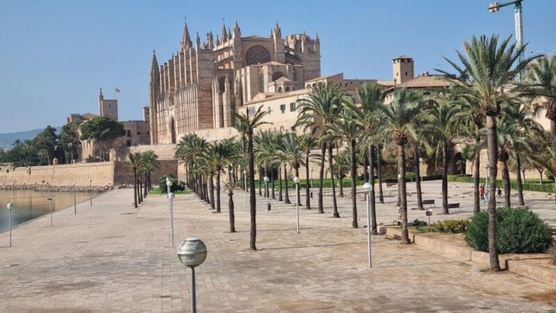 Uncover Secrets of Palma: In-App Audio Tour - Experience Highlights
