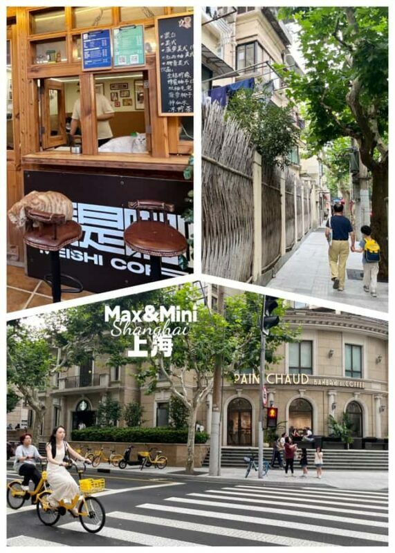Uncover Shanghai's Heritage in French Concession Hidden Gems - In The Sum Up