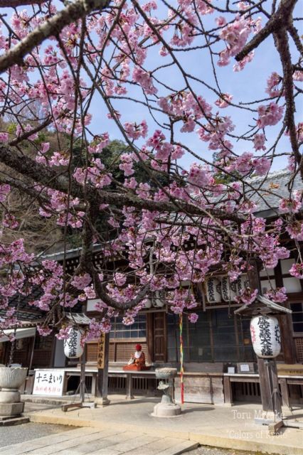 Uncover The Best Foodie Spots In Kyoto Pontocho With Guide - Gion Shirakawa Ramen