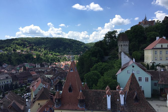 Uncover Transylvania: Private 2-Day Tour Bears & Medieval Wonders - Visiting the Bear Sanctuary