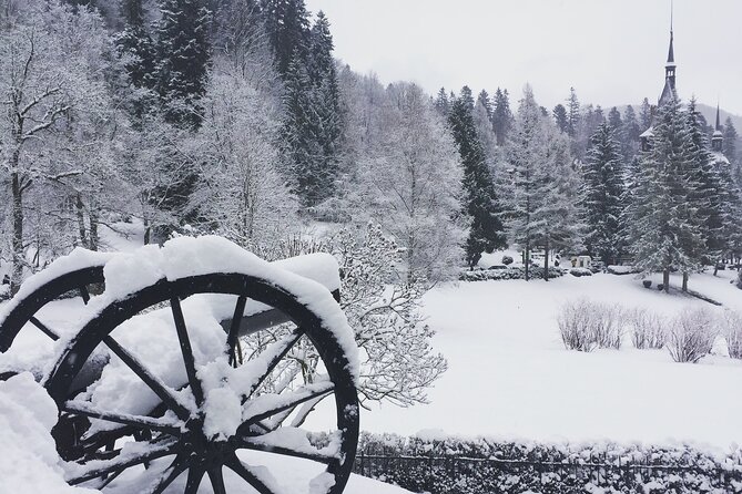 Uncover Transylvania: Private 2-Day Tour Bears & Medieval Wonders - Tour Accessibility and Requirements