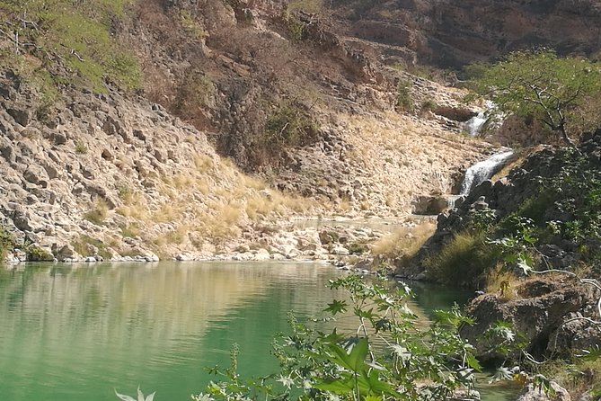 Uncover Wonders of East Salalah-Full Day Guided Tour - Highlights of the Tour
