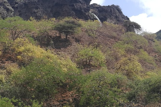 Uncover Wonders of East Salalah-Full Day Guided Tour - Experiencing Gravity Point