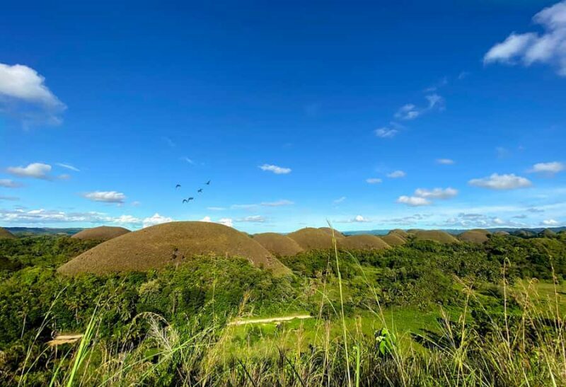 Uncrowded Bohol: Tarsiers, Chocolate Hills & Local Lunch - Key Points