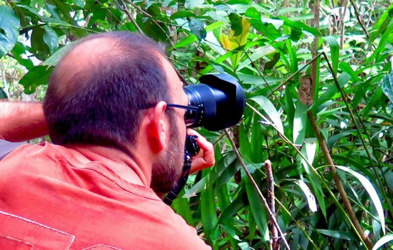 Uncrowded Bohol: Tarsiers, Chocolate Hills & Local Lunch - FAQ