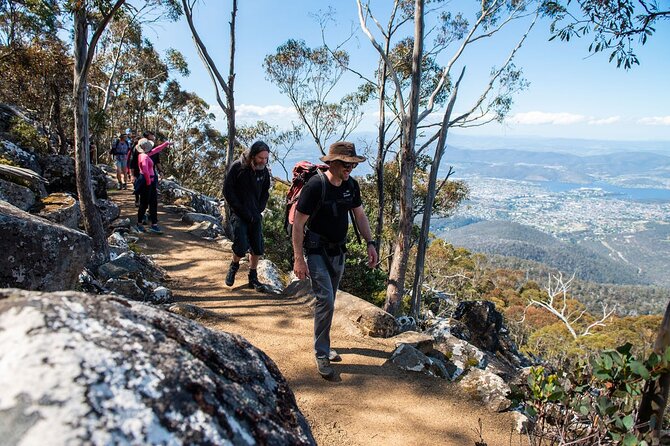 Under the Organ Pipes - Kunanyi/ Mt Wellington Guided Walk - Inclusions