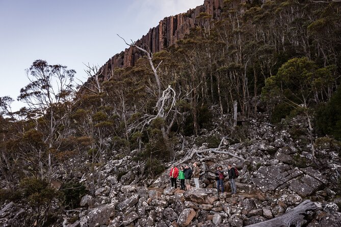 Under the Organ Pipes - Kunanyi/ Mt Wellington Guided Walk - Exploring Kunanyi/Mt Wellington