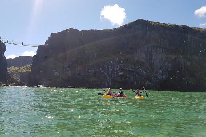 Under the Rope Bridge Tour - Coastal Exploration
