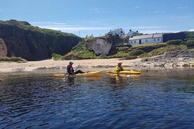 Under the Rope Bridge Tour - Wildlife Sightings