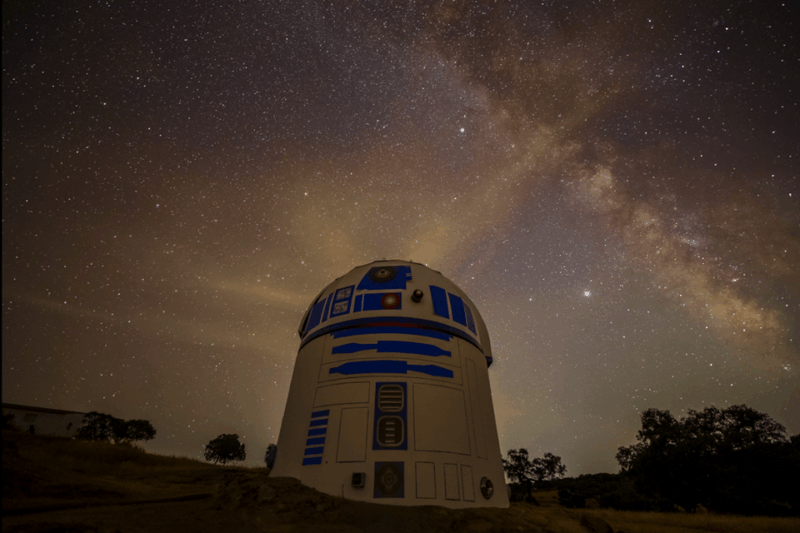 Under the Stars: Night Immersion With Sky Interpretation - Experience Highlights