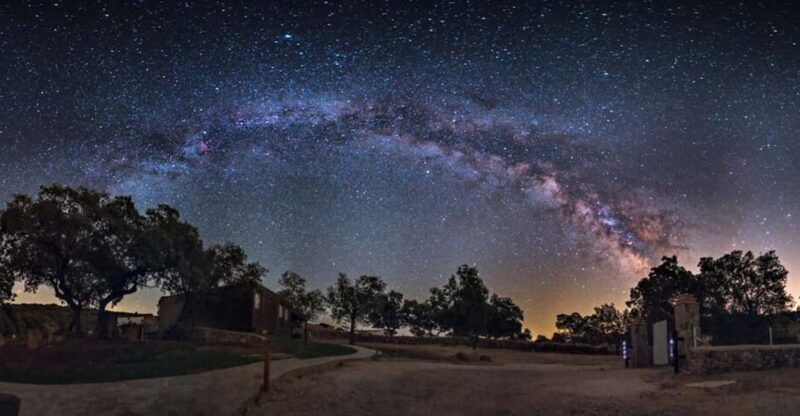 Under the Stars: Night Immersion With Sky Interpretation - Wildlife Exploration