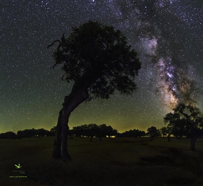 Under the Stars: Night Immersion With Sky Interpretation - Cancellation Policy