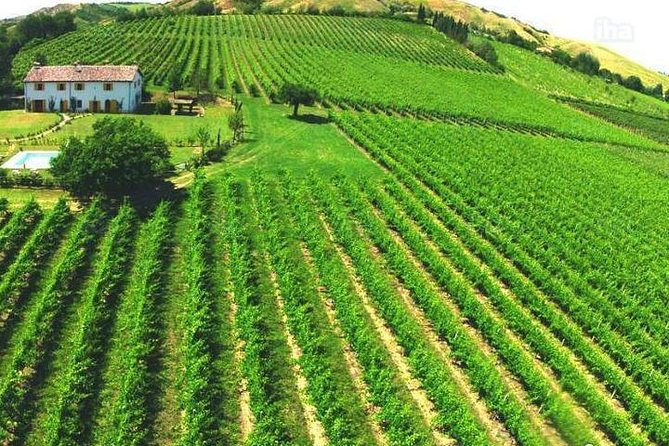 Under the Tuscan Sun, Cortona and Montepulciano From Rome 1 Day - Lunch and Wine Tasting