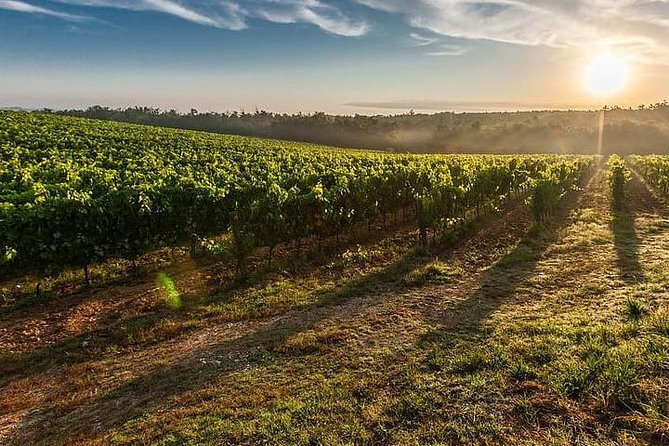 Under the Tuscan Sun, Cortona and Montepulciano From Rome 1 Day - Frequently Asked Questions