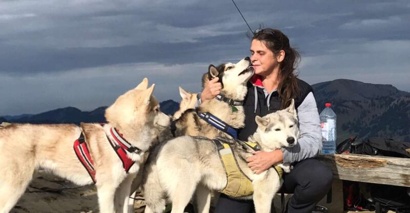 Underallgäu: Wiedergeltingen Guided Hike With Huskies - Booking Information