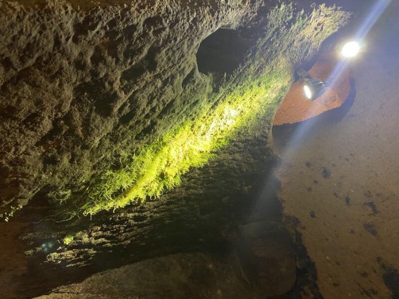 Underground City Tour & Optional Wine Tasting - Key Points