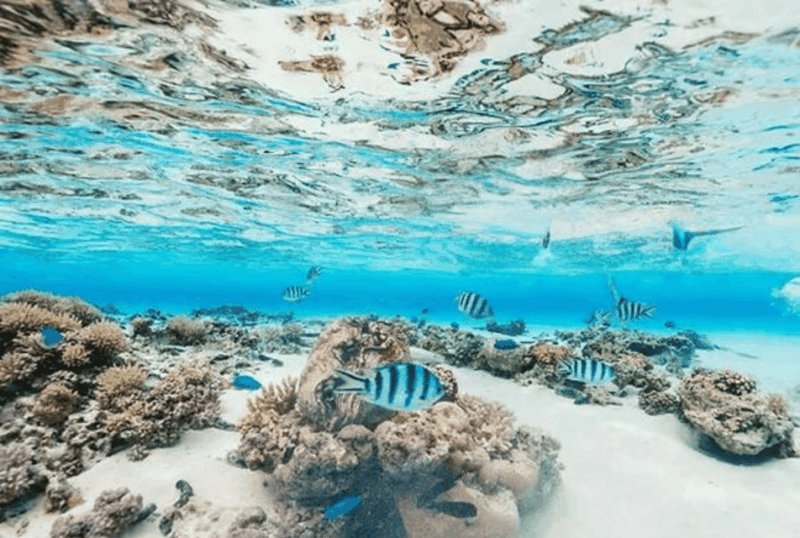 UNDERGROUND RIVER + EL NIDO + CORON: 5D4N - Destination Highlights