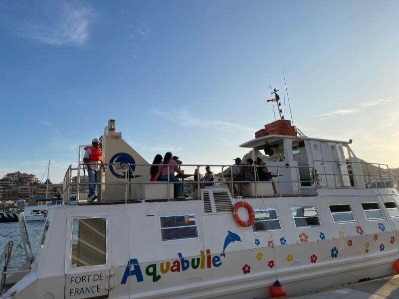 Underwater Exploration Tour & Ocean Sighting Tour - Key Points