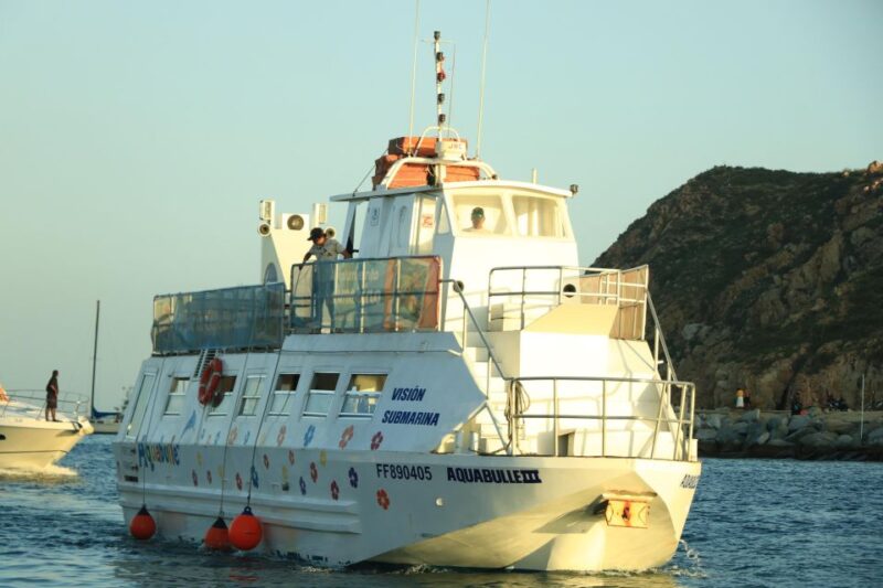 Underwater Exploration Tour & Ocean Sighting Tour - Tour Highlights