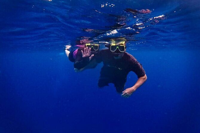 Underwater Guided Snorkeling Adventure in Bonaire - Introduction